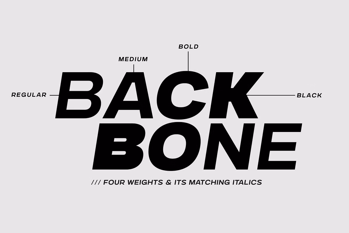 Illustration showcasing Gunterz font in various weights