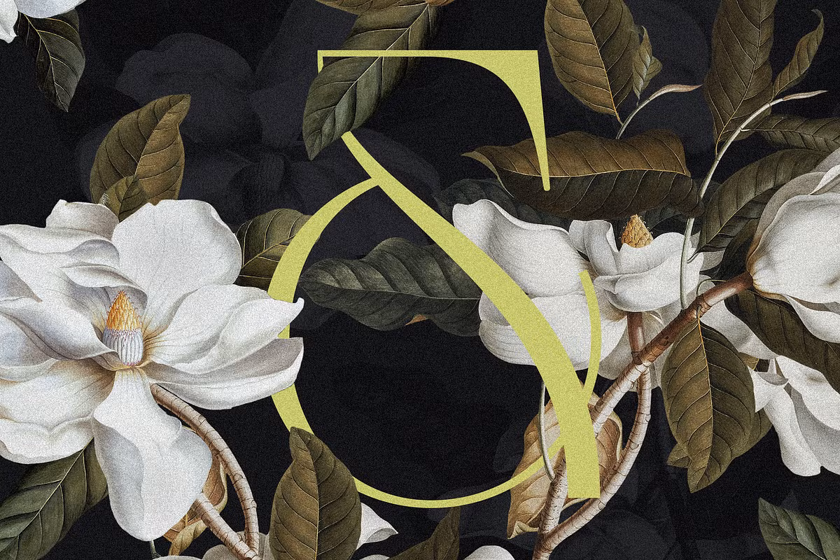 Elegant ligature serif font representation