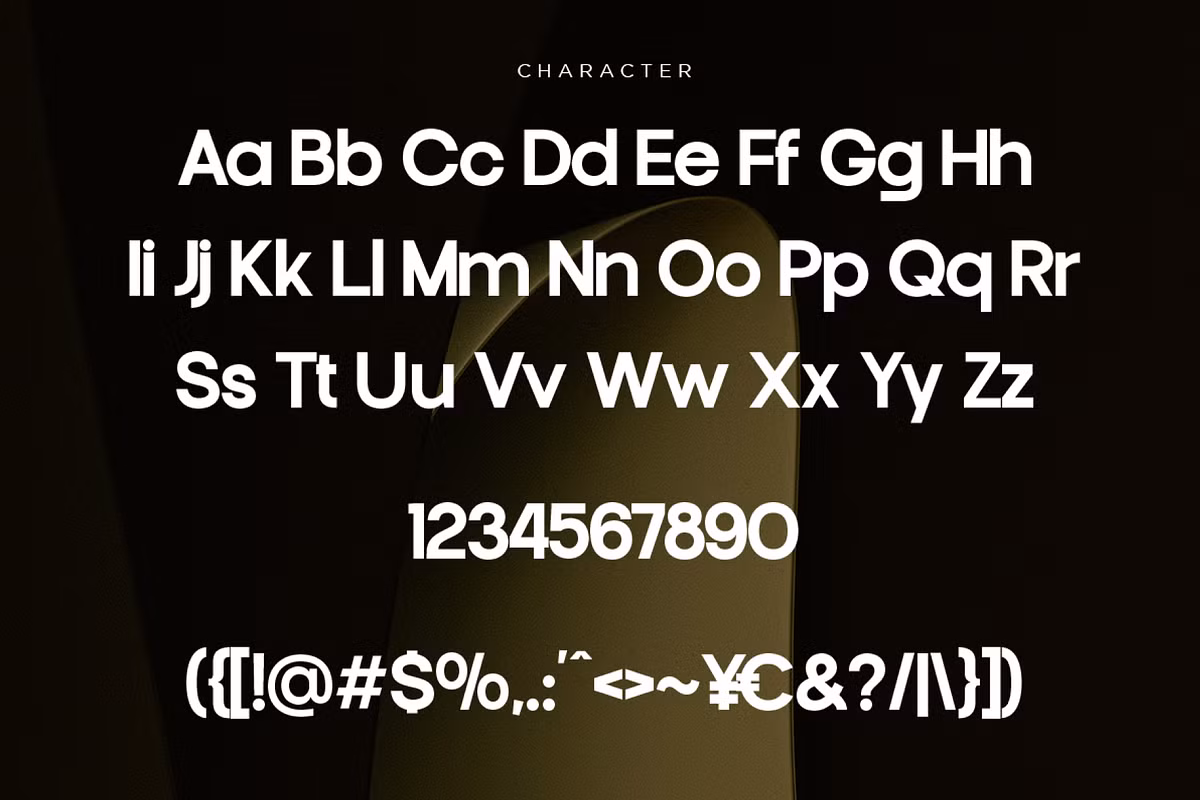 Francy Modern Sans Display Font showcased in a logo design