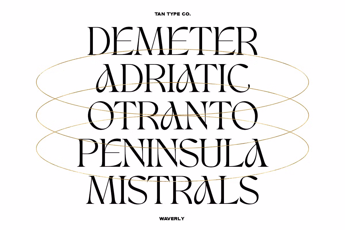 Elegant serif typeface design example