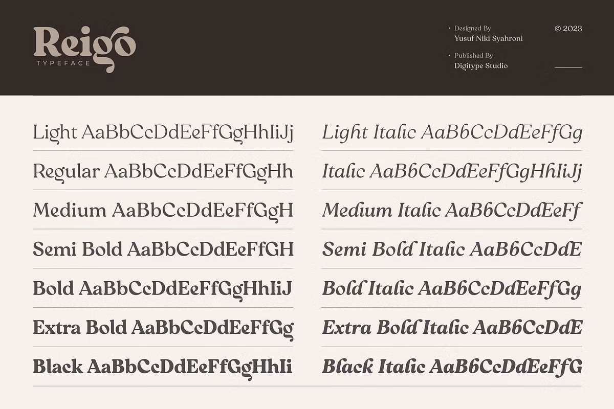 A visual example of Reigo serif font styles.