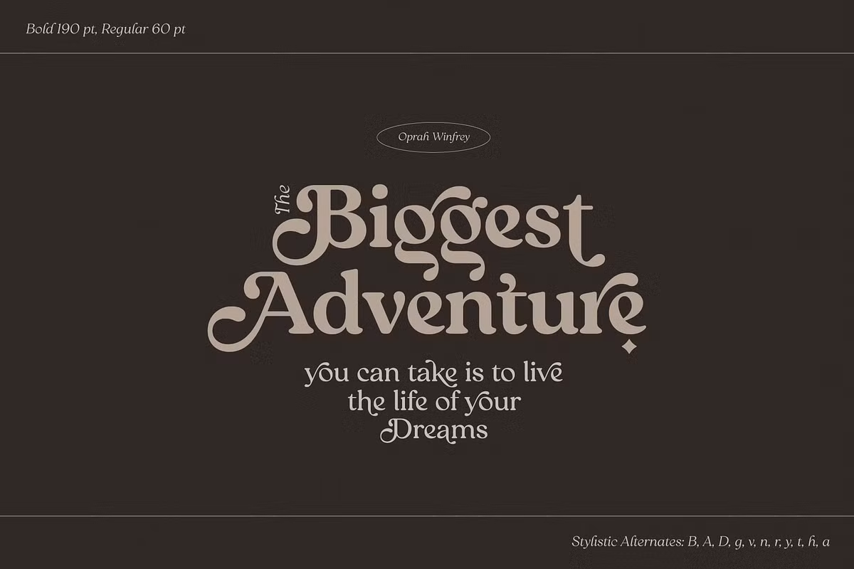 Display of Reigo font's various upright and italic styles.