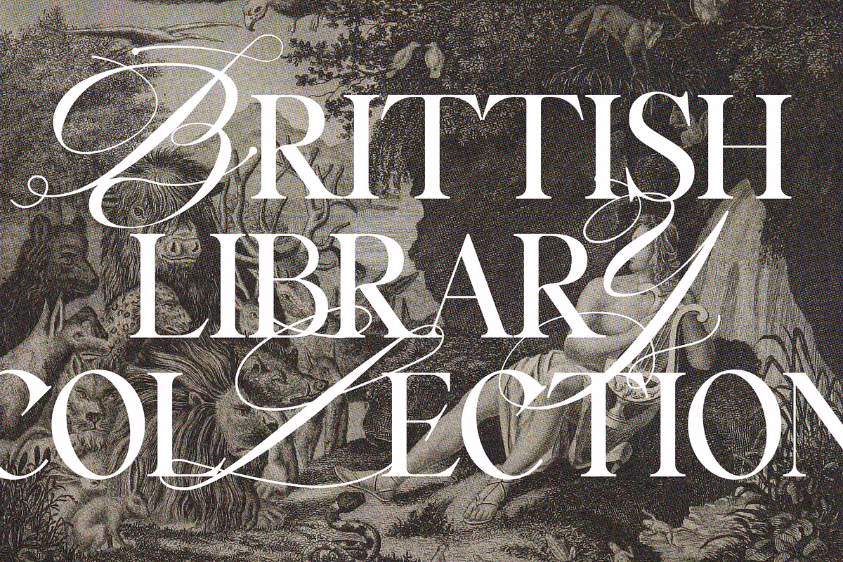 Stylish examples of Silver Garden font in use