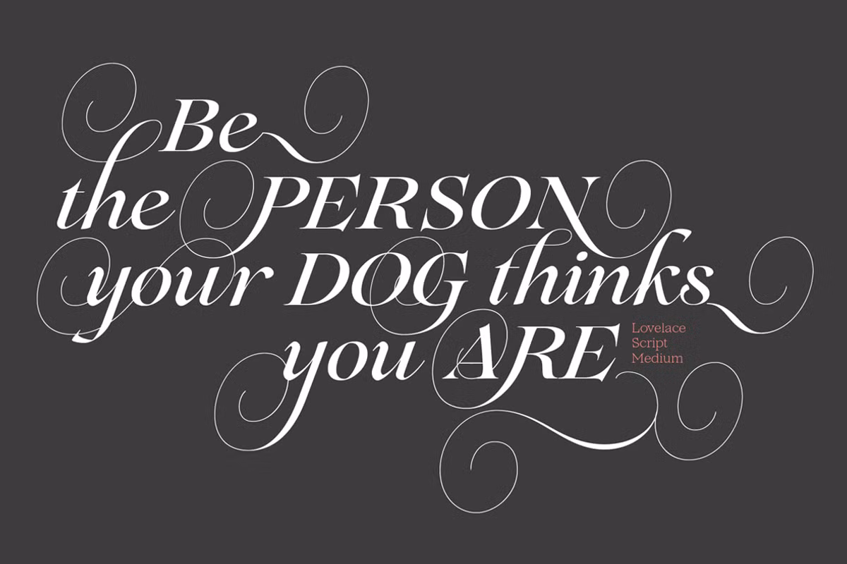 Sample of Lovelace typeface showcasing elegance