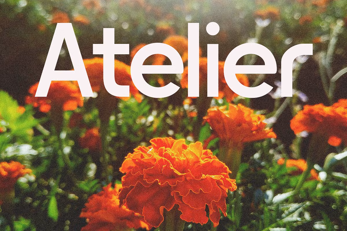 Stylish font design example featuring Ostra Centra