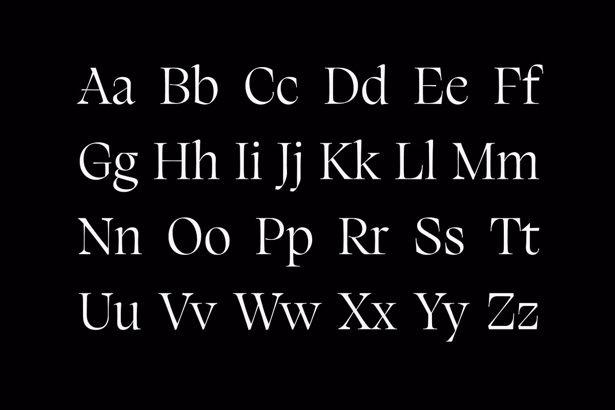 Silene font displayed on a stylish book cover