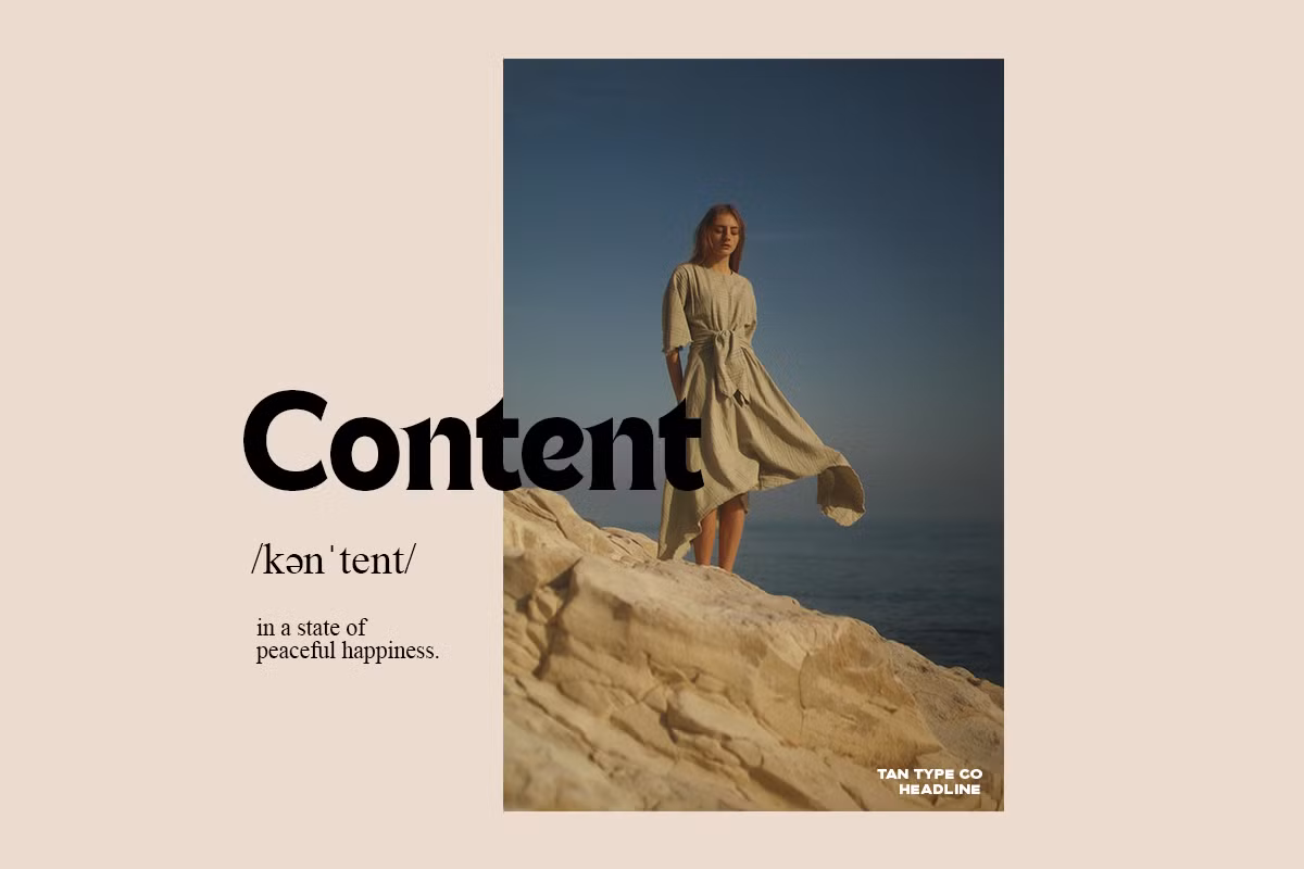 TAN font licensing and updates information