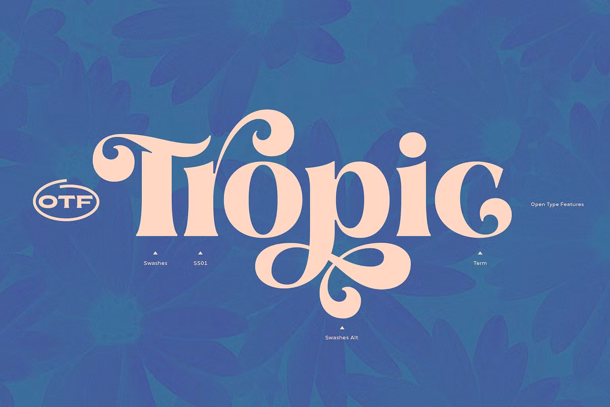 Various weights of the Aprila font family