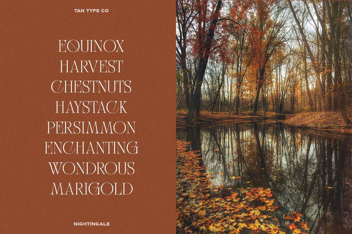 Geometric shapes and ornate details of TAN - NIGHTINGALE