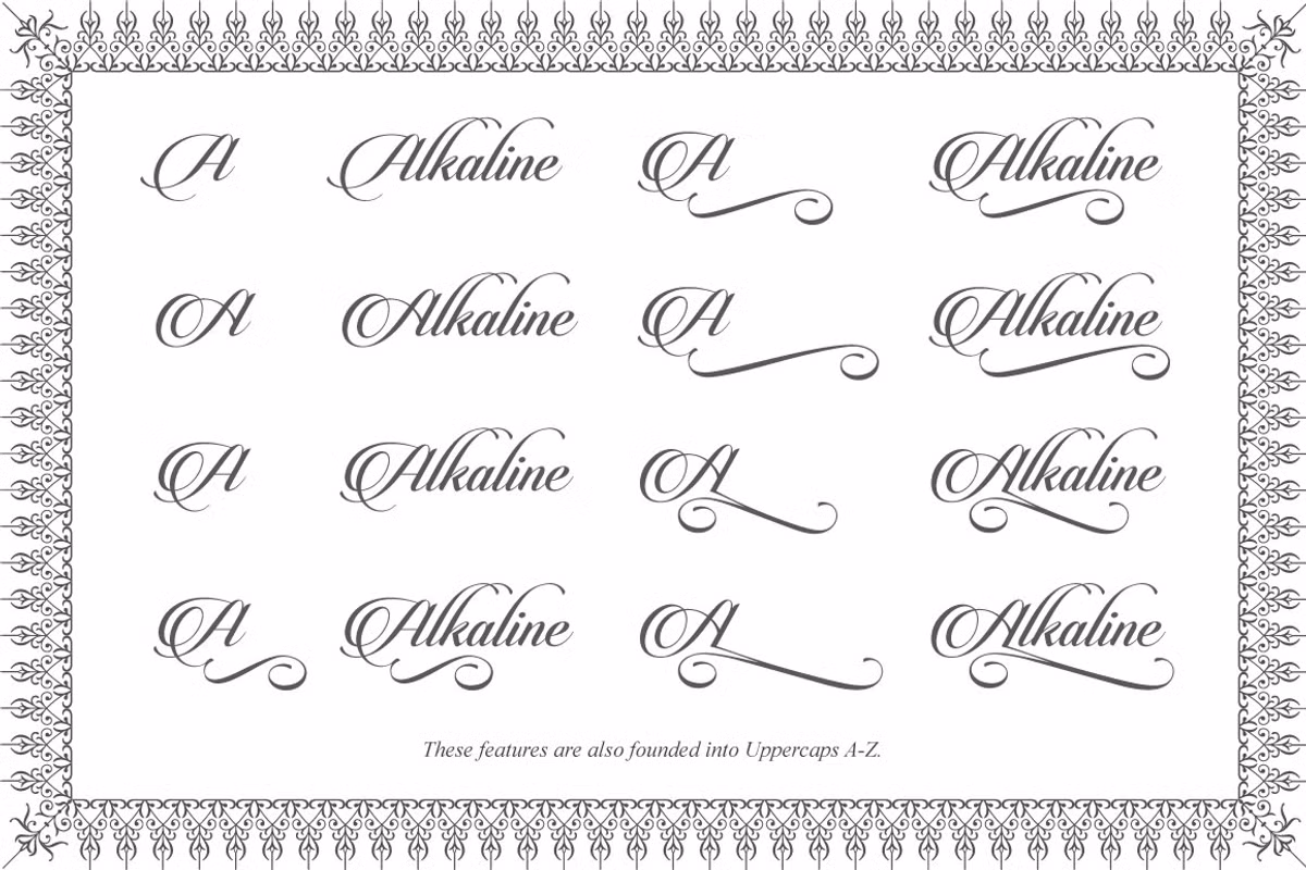 Close-up view of Candlescript Pro typography