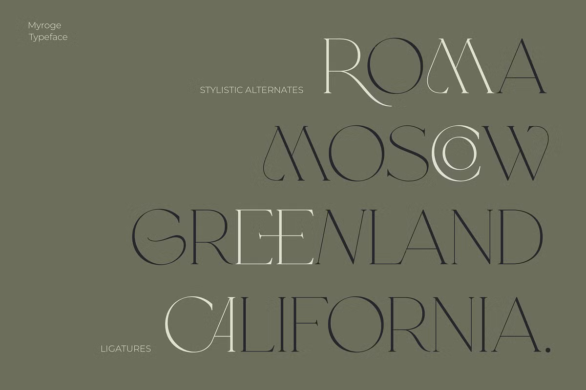 Elegant serif font example for branding