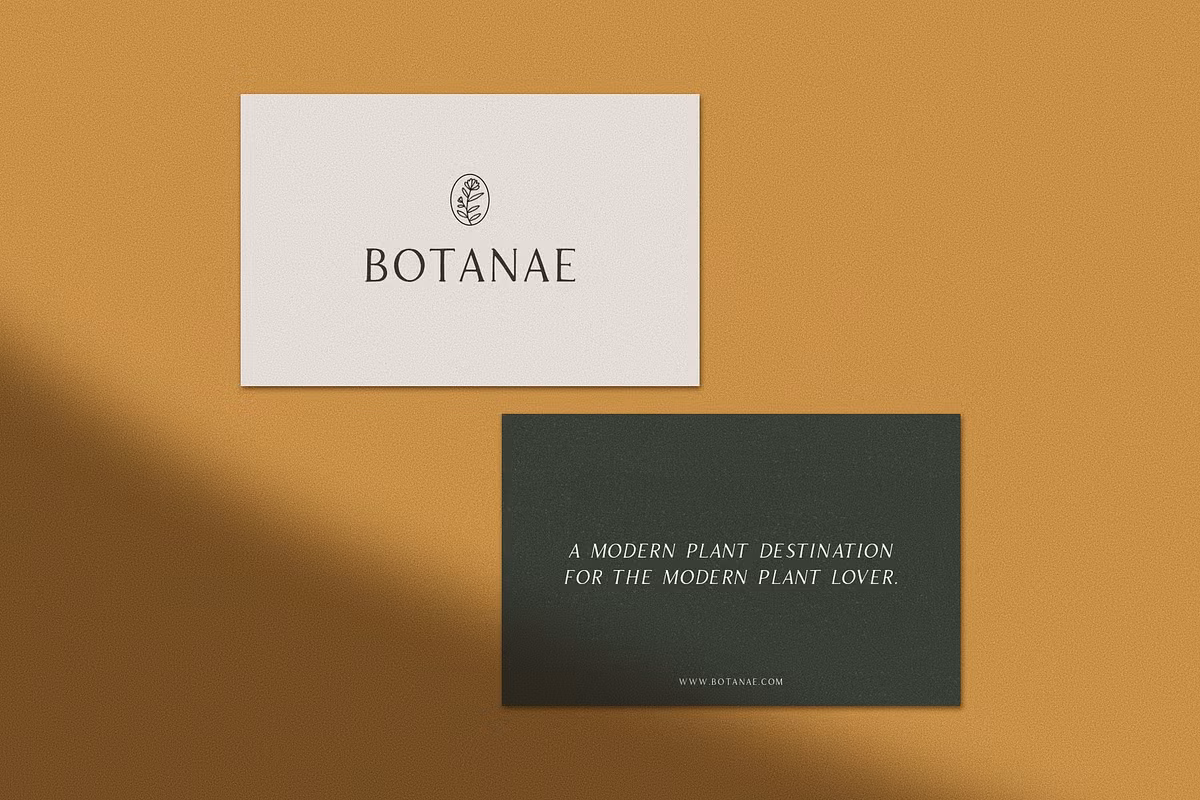 Visual representation of Apricot font styles