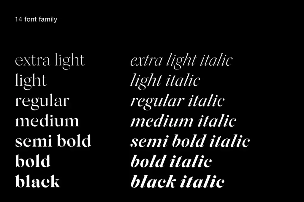 Silk Serif specimen — Character set and features