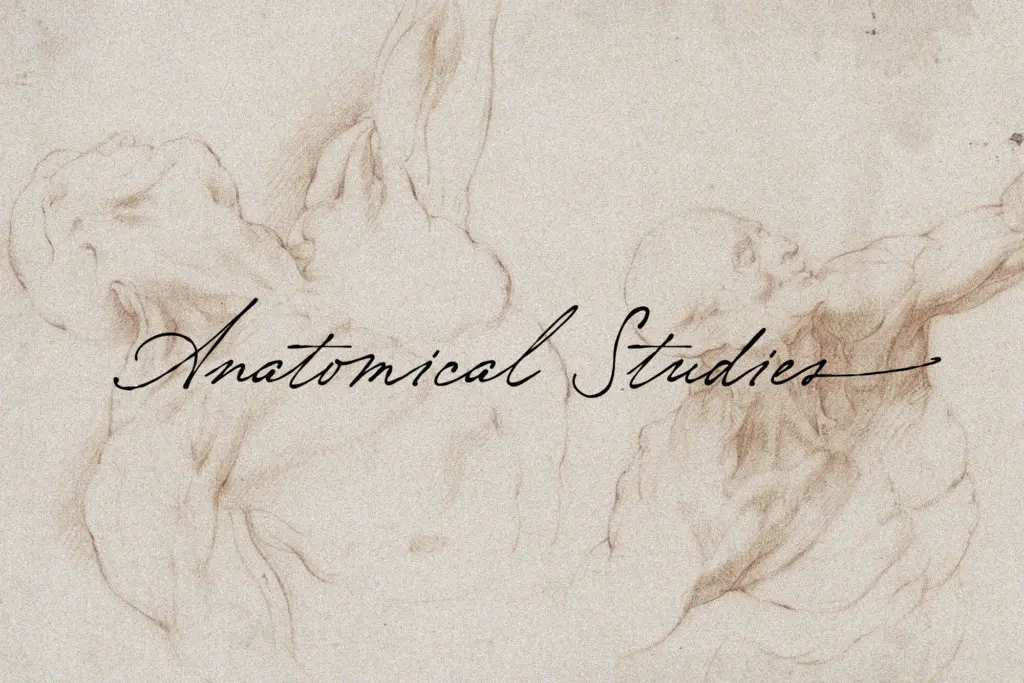 Nostalgia specimen — Character set and features