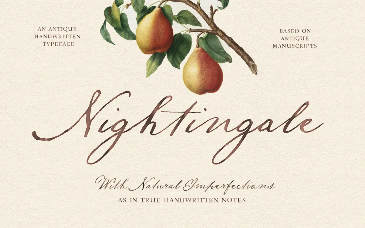 Nightingale Script: an antique quill hand for old-world branding