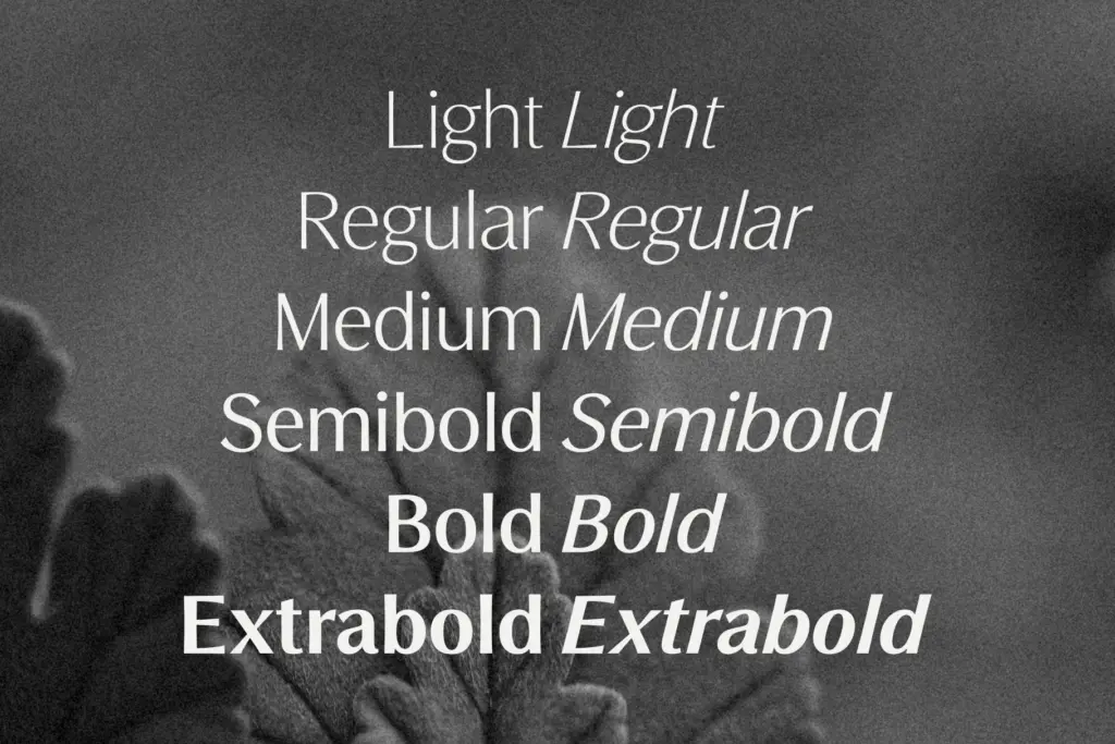 Figura Sans specimen — Use cases