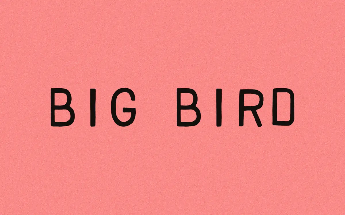 Big Bird: a rough-edged stamp face for vintage branding work