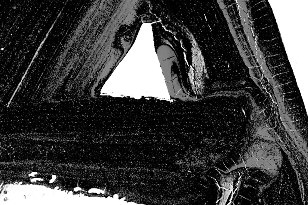 Black Paint Font specimen — Use cases