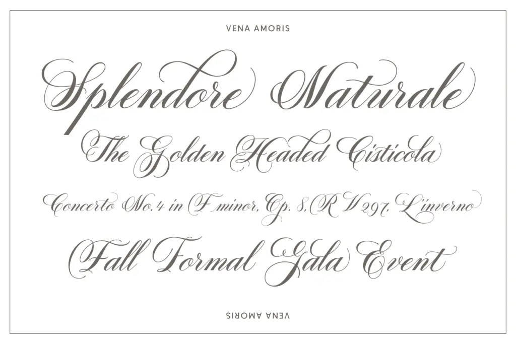 Vena Amoris specimen — Design style