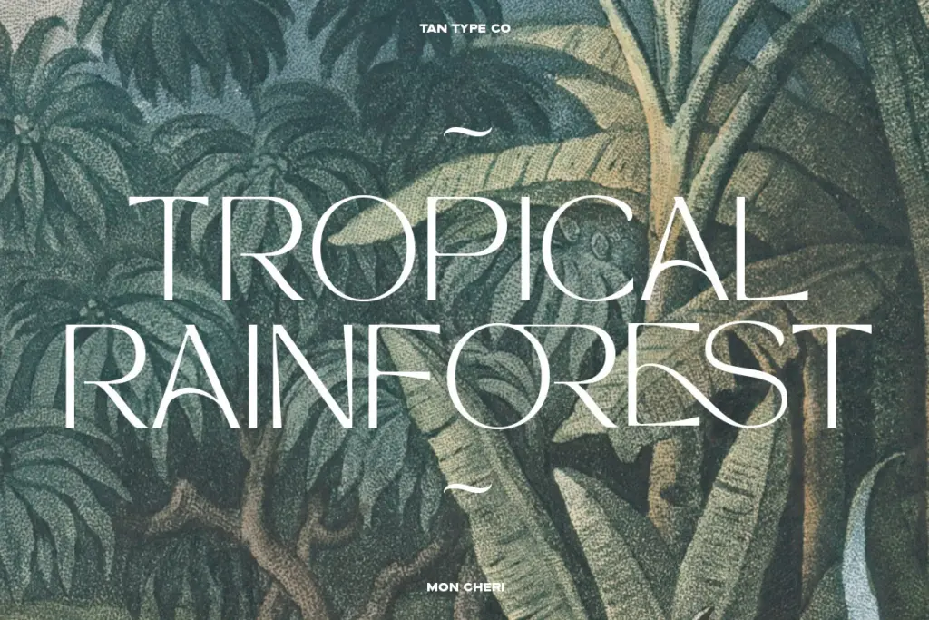 Mon Cheri specimen — Use cases