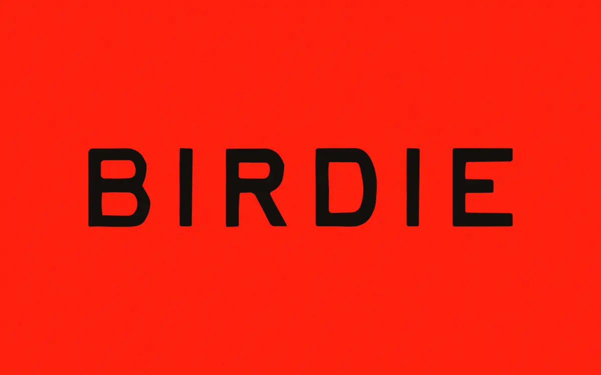 Birdie: a worn-letterpress hand script for warm, informal print work