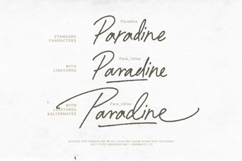 Paradine specimen — Design style
