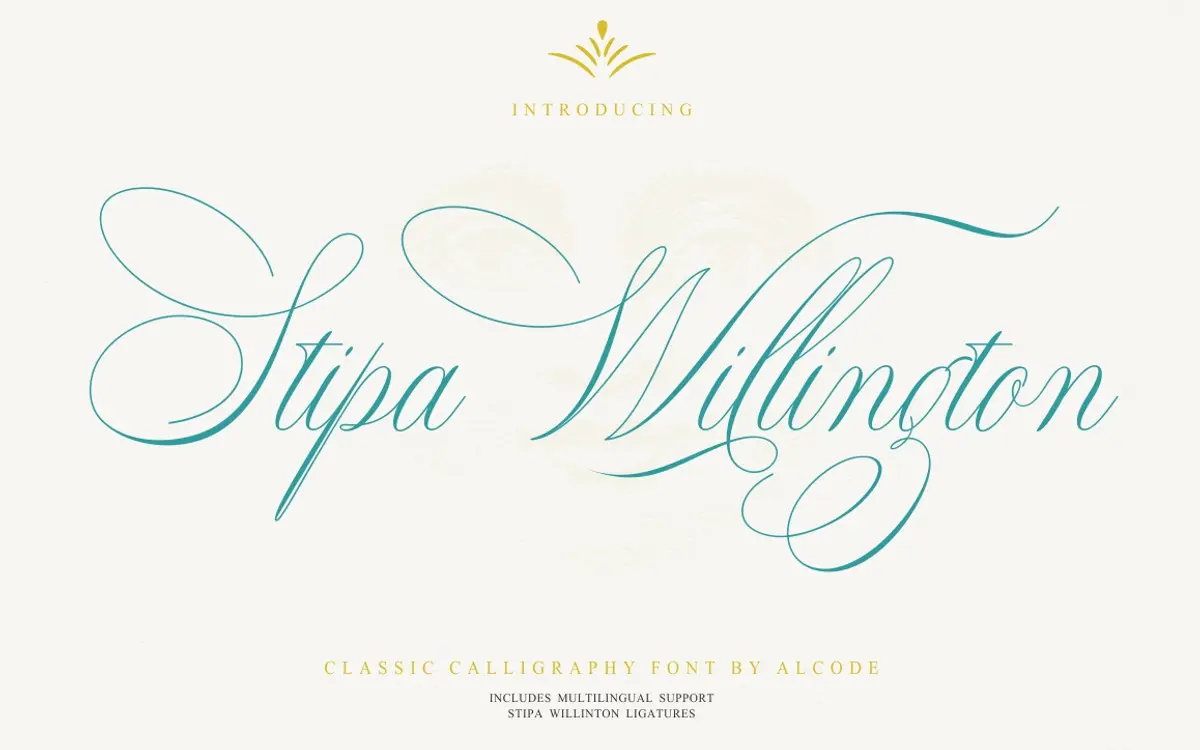 Stipa Willington: a formal calligraphic script for invitations and branding