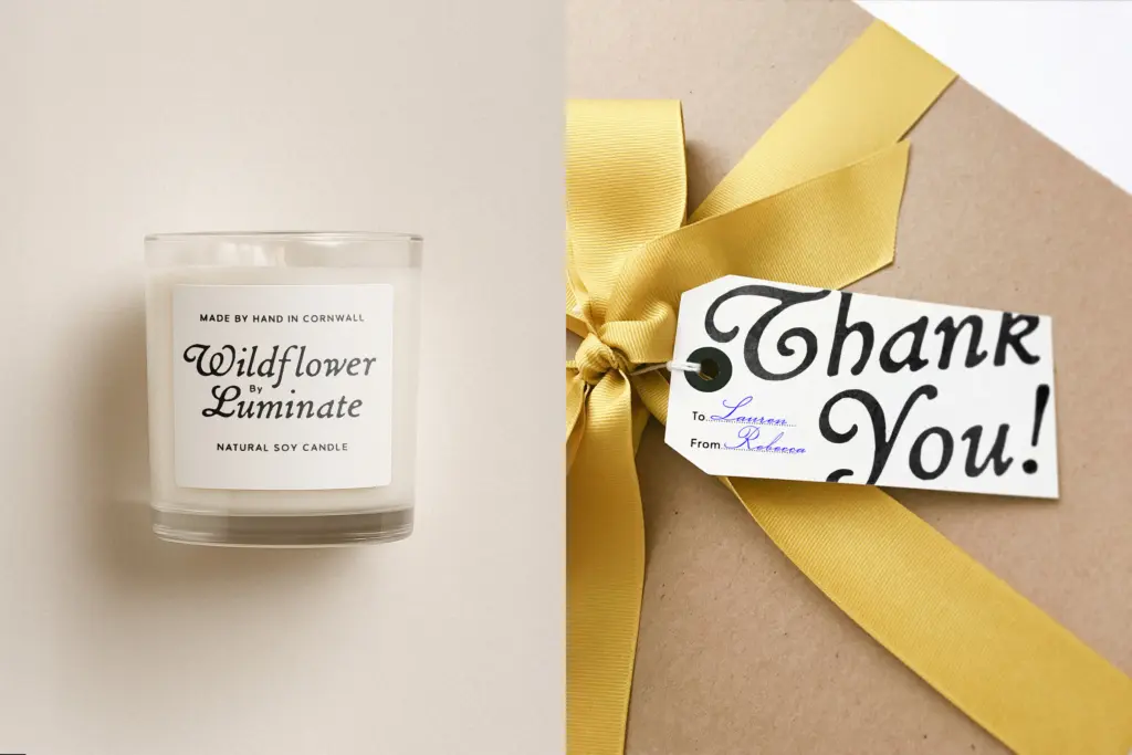 Petal & Quill Handwritten Script specimen — Character set and features