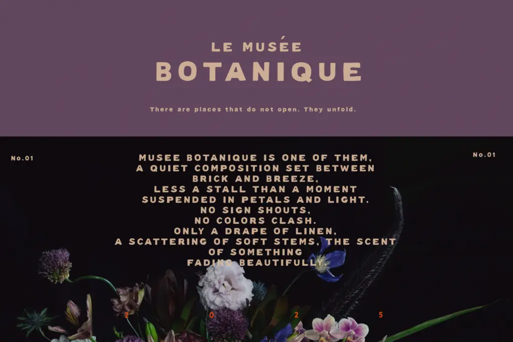 Modern Hand Lettered Font Library specimen — Use cases