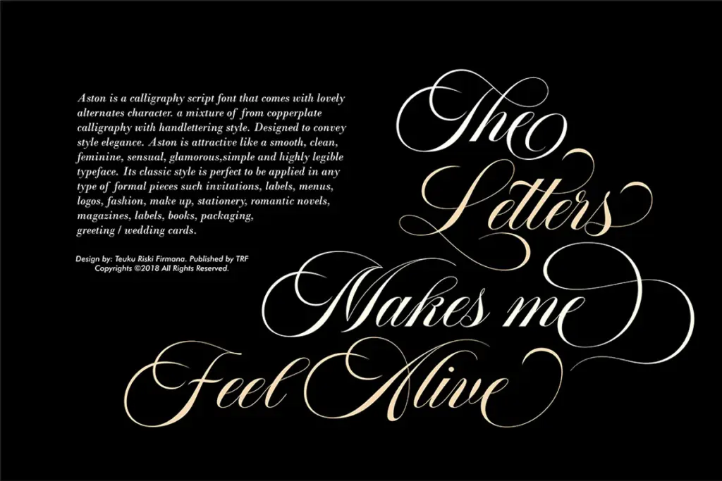 Aston Script Pro specimen — Design style