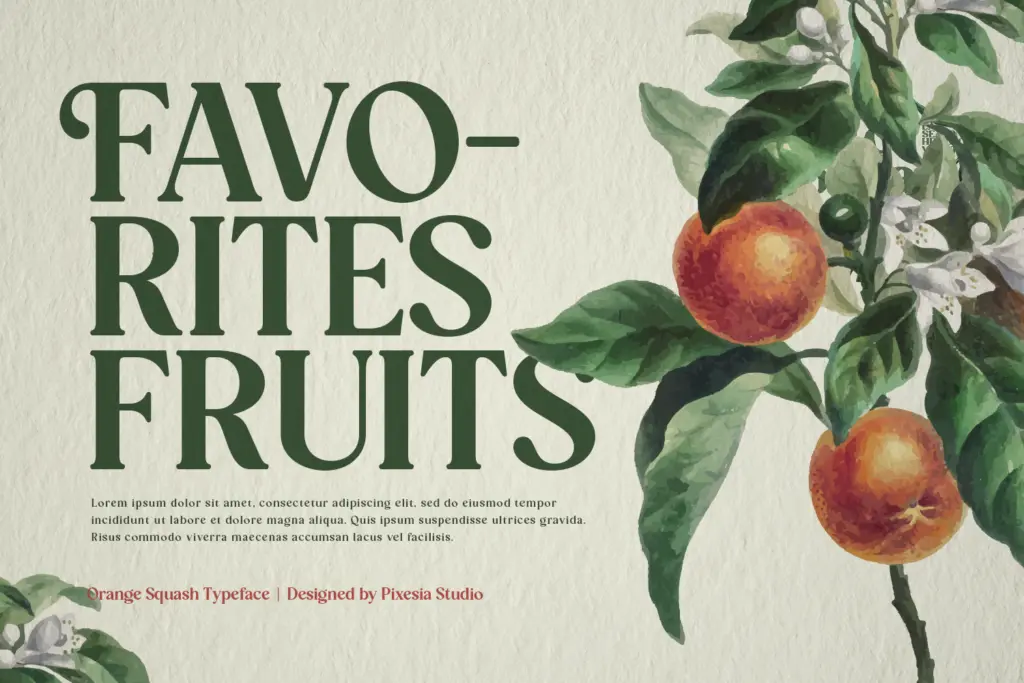 Orange Squash specimen — Design style