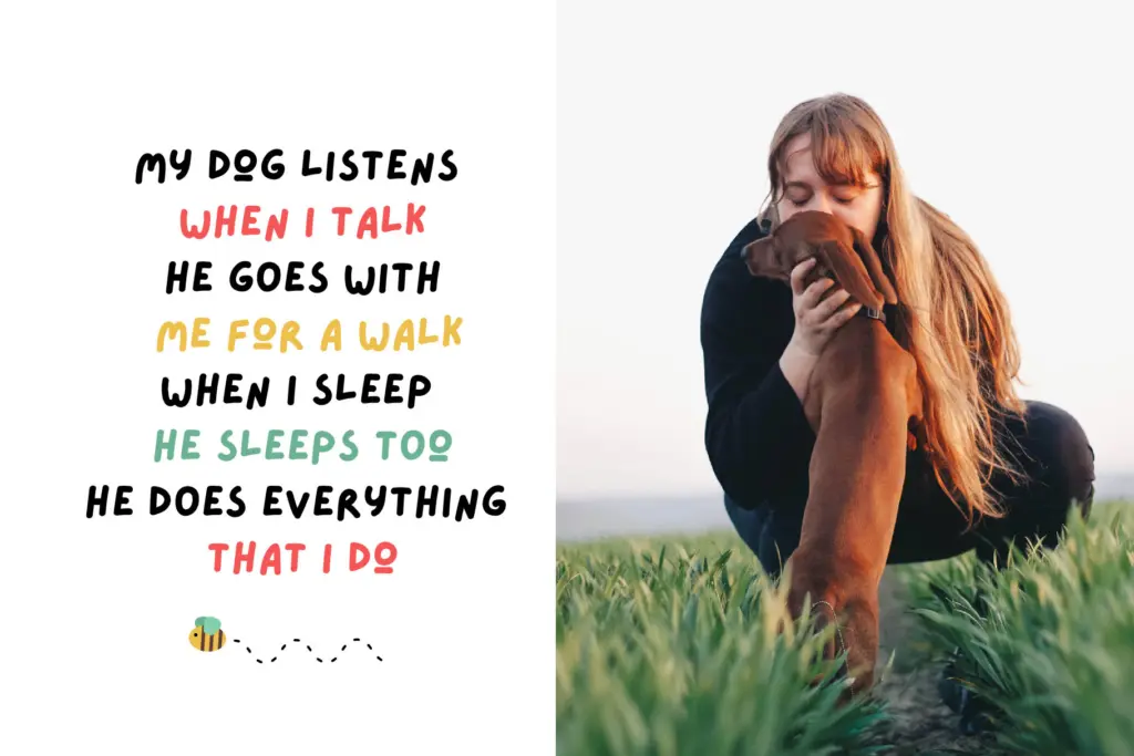 Lazydog Kids Font specimen — Character set and features