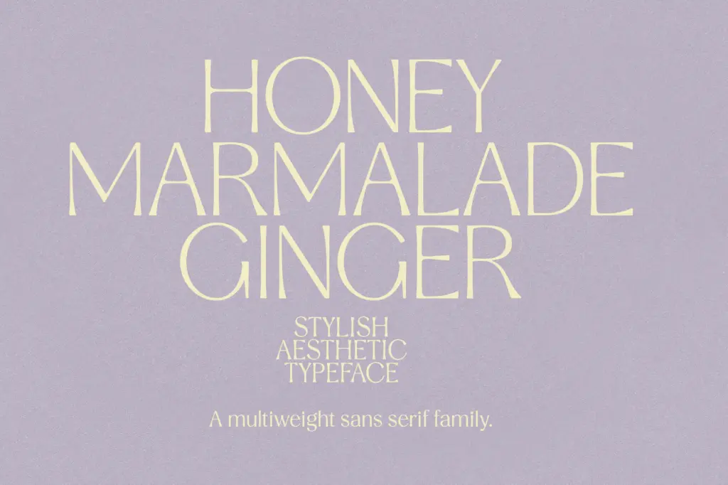 Stylish Aesthetic Typeface specimen — Design style