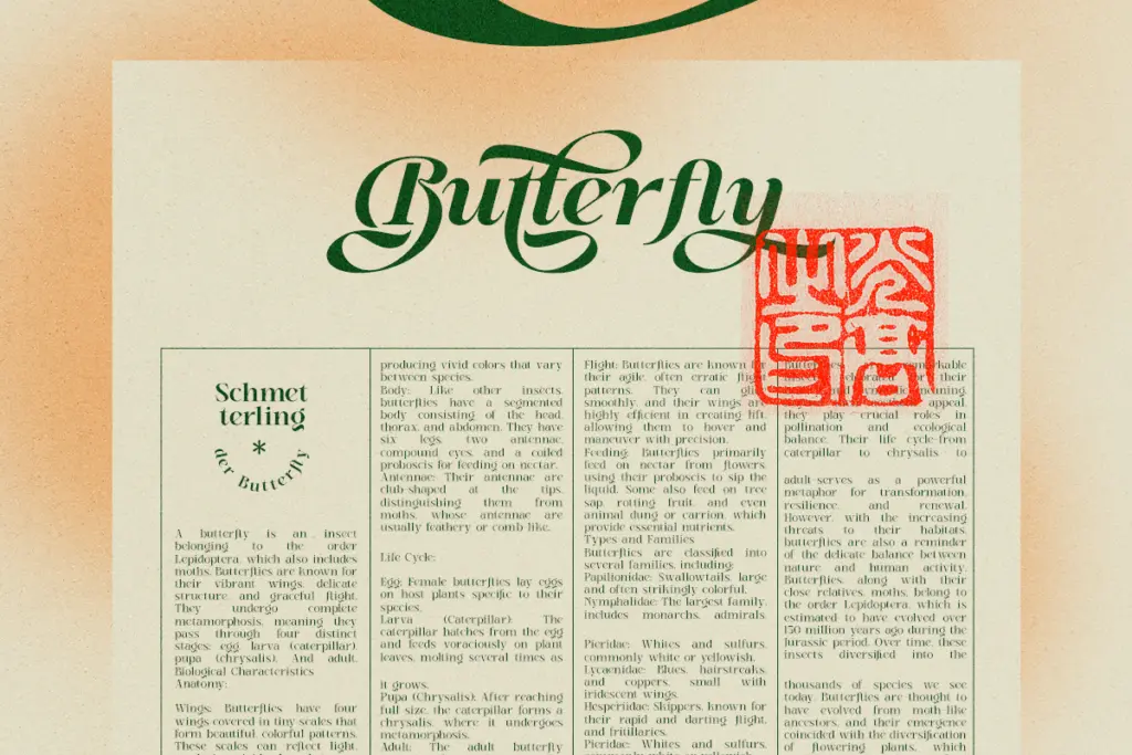 Stella Aesta specimen — Character set and features