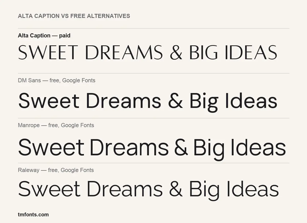Alta Caption compared with DM Sans, Manrope, Raleway