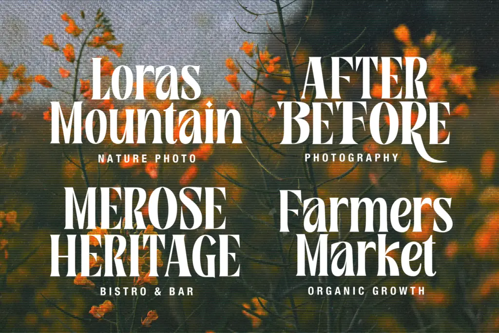Rosamila Display specimen — Design style