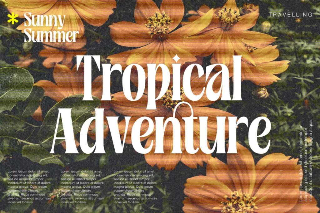 Rosamila Display specimen — Character set and features