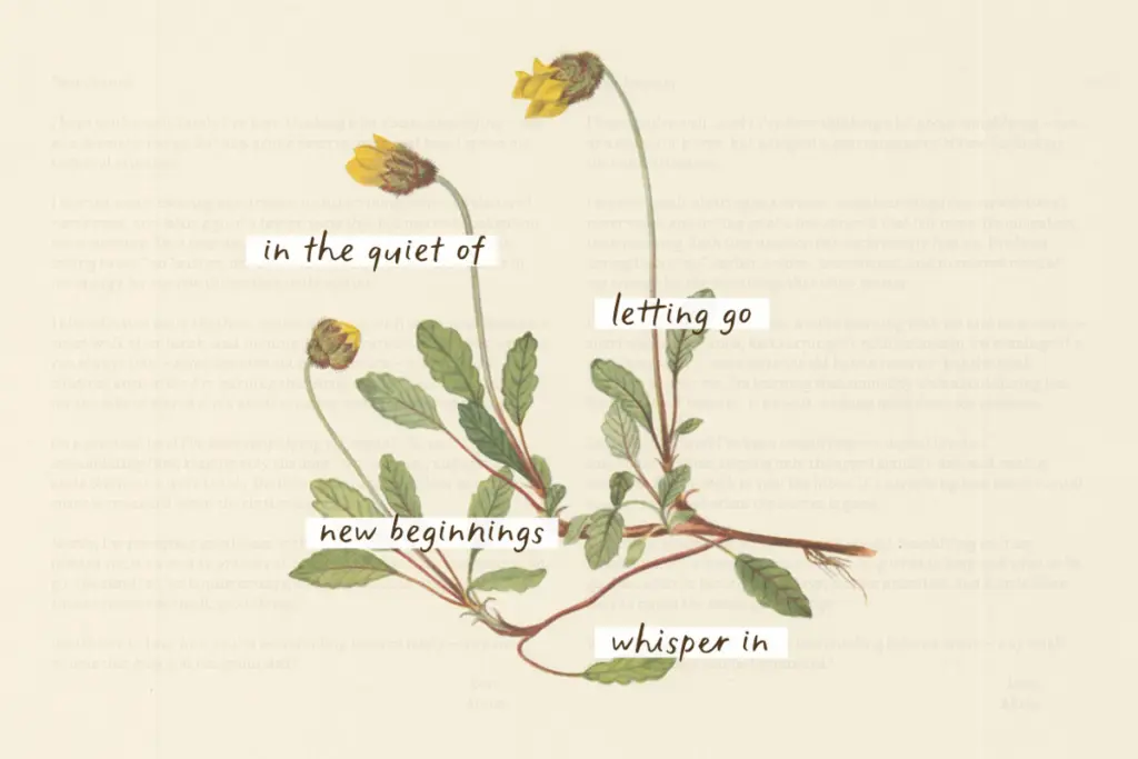 The Minimalist specimen — Design style
