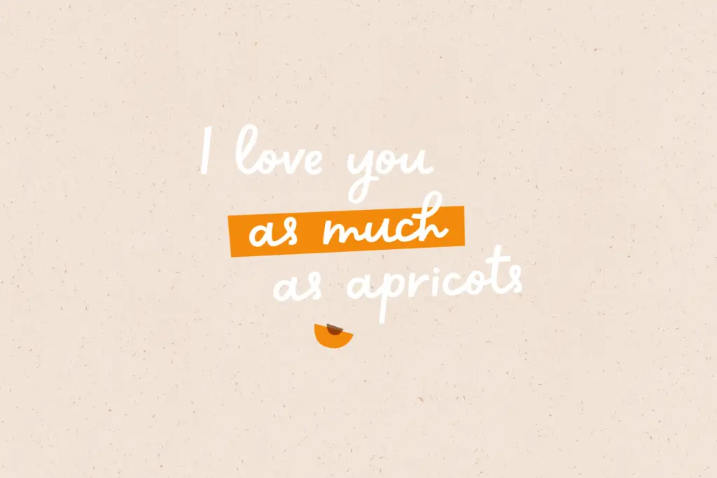 Sweet apricot specimen — Design style