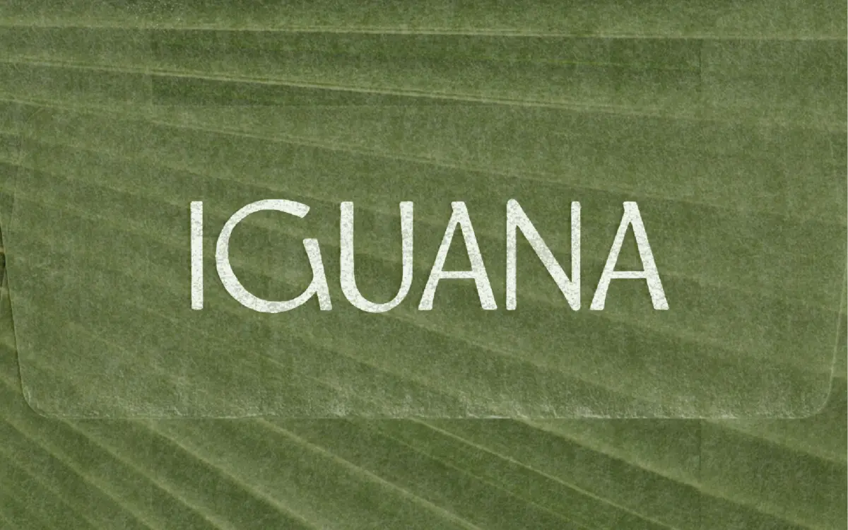 Iguana: a humanist sans for warm-weather branding and short copy