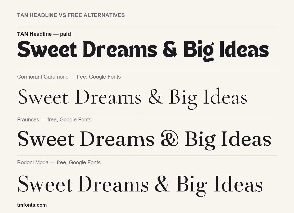 TAN Headline compared with Cormorant Garamond, Fraunces, Bodoni Moda